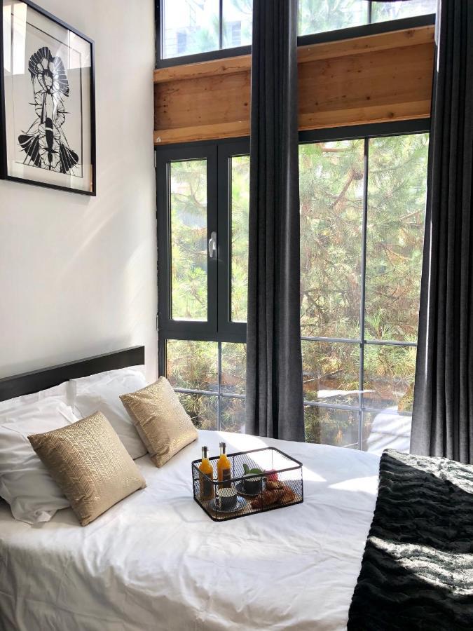 Magnifique Loft Climatise Buttes Chaumont Apartment *